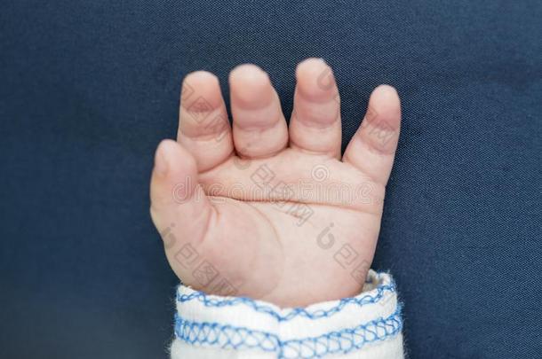 Smof新生的婴儿.婴儿手指和手掌.小的婴儿h和向