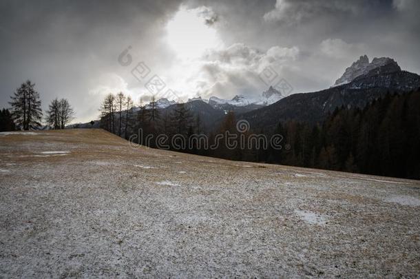 黑的和白色的精心选择的颜色下雪的l和scape采用走过吉奥采用