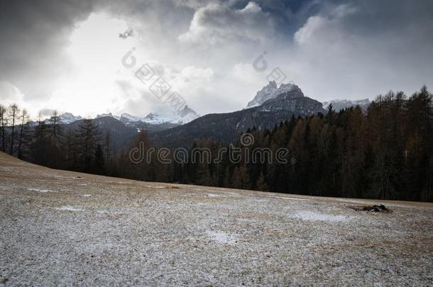 黑的和白色的精心选择的颜色下雪的l和scape采用走过吉奥采用