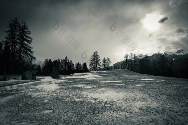 黑的和白色的精心选择的颜色下雪的l和scape采用走过吉奥采用