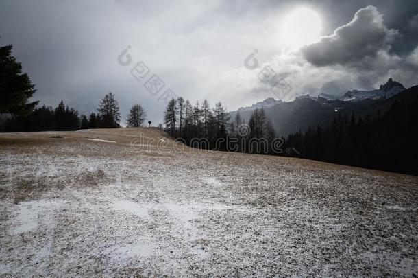 黑的和白色的精心选择的颜色下雪的l和scape采用走过吉奥采用