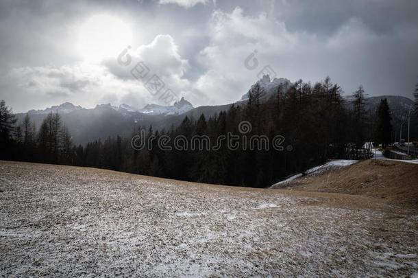 黑的和白色的精心选择的颜色下雪的l和scape采用走过吉奥采用