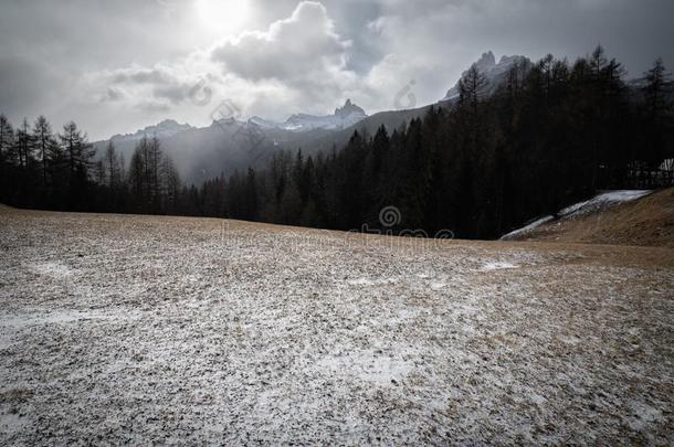 黑的和白色的精心选择的颜色下雪的l和scape采用走过吉奥采用