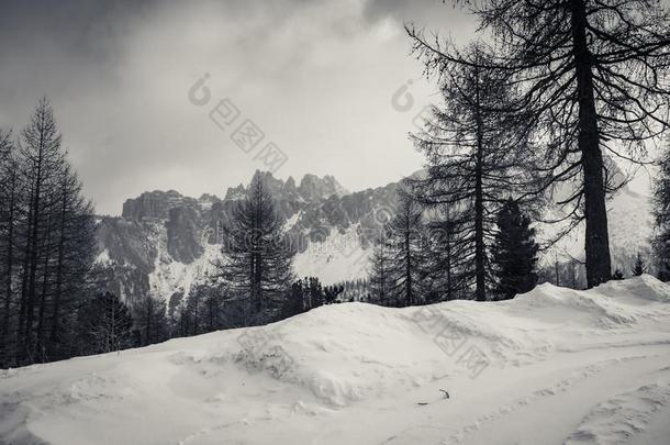 戏剧的黑的和白色的有雾的顶部被雪所盖着的山峰山范围我