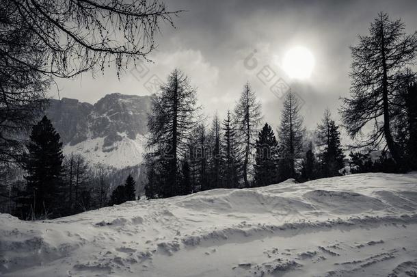 戏剧的黑的和白色的有雾的顶部被雪所盖着的山峰山范围我