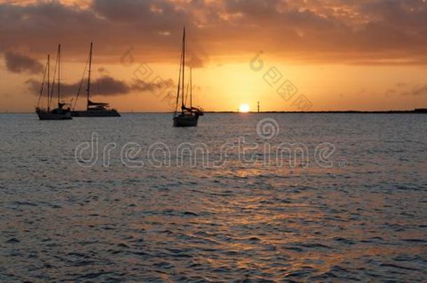 桔子有色的日出海景画和快艇在锚.澳大利亚