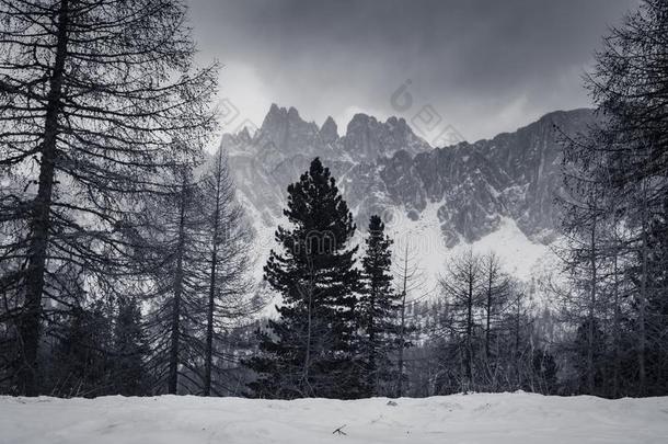 戏剧的黑的和白色的有雾的顶部被雪所盖着的山峰山范围我