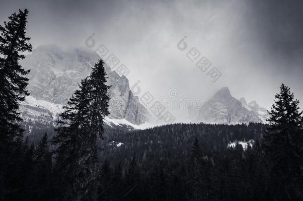 戏剧的黑的和白色的有雾的顶部被雪所盖着的山峰山范围我