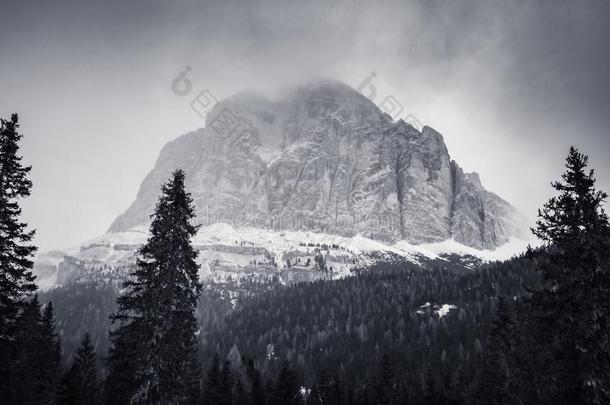 戏剧的黑的和白色的有雾的顶部被雪所盖着的山峰山范围我