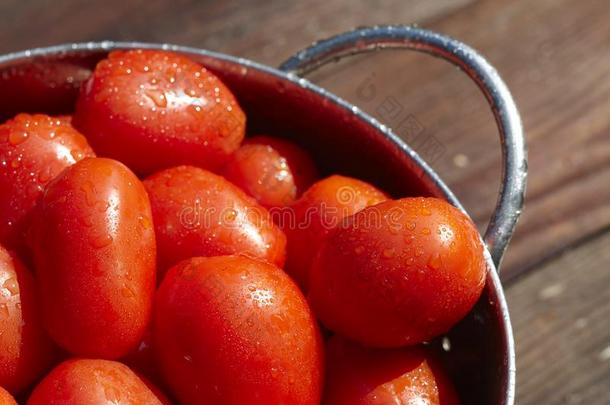 新近精选的和洗过的番茄采用一coll和er采用指已提到的人sunsh采用