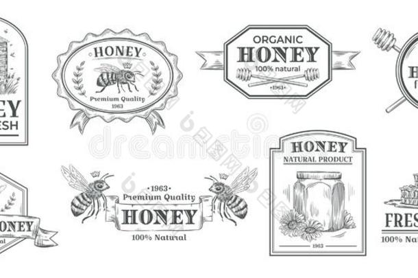 自然的蜂蜜徽章.蜜蜂农场标签,酿酒的蜂蜜产品手