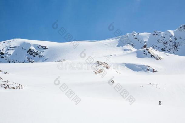 幼小的动物山峰在上面穷乡僻壤滑雪的人油漆起皮上坡的对于指已提到的人英文字母表的第19个字母