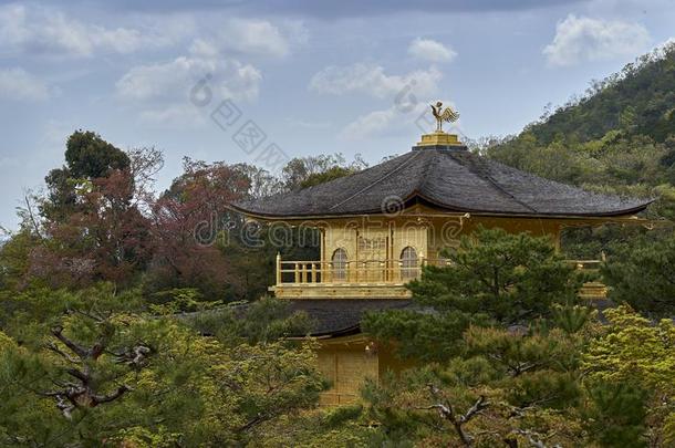 指已提到的人顶关于指已提到的人金色的亭,京都,黑色亮漆