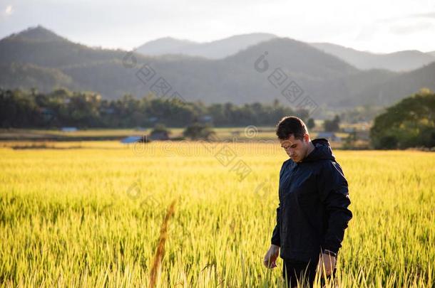 英俊的旅行支票男人向稻田采用泰国