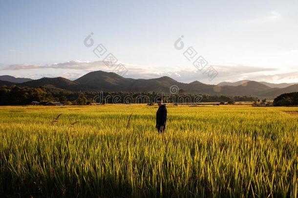 英俊的旅行支票男人向稻田采用泰国