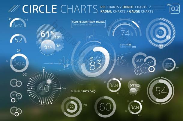 圆图表,馅饼图表,油炸圈饼图表和辐射状的图表信息通报