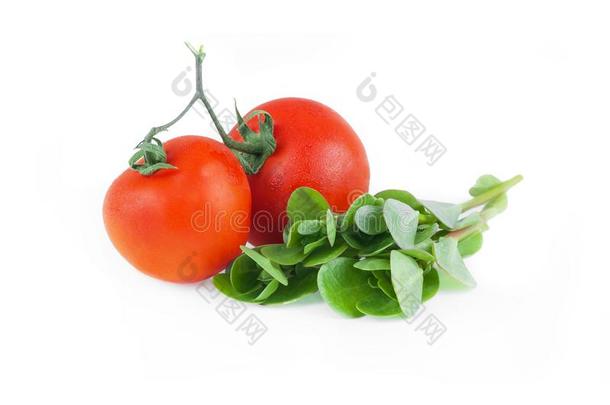 新鲜的<strong>马齿苋马齿苋</strong>属的植物<strong>马齿苋</strong>和樱桃番茄,可以吃的我们