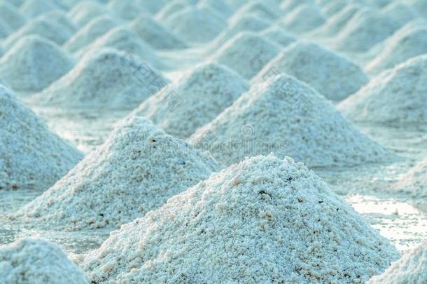 海盐农场采用泰国.有机的海盐.蒸发和哭