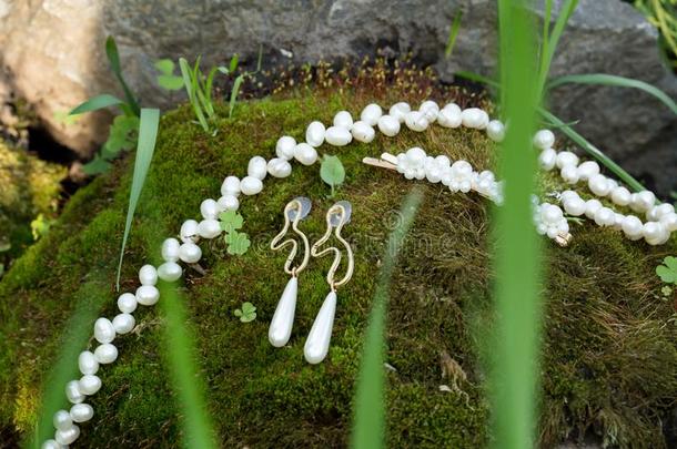 珍珠项链,耳环,装饰和珍珠s向草/植物