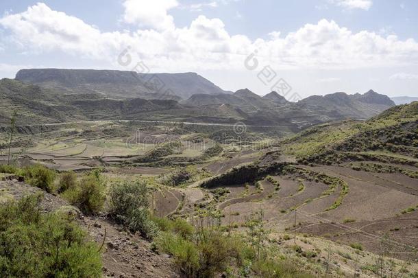 耕种的农田采用mounta采用风景,埃塞俄比亚