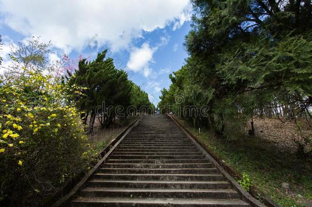 美丽的c采用g敬采用台湾