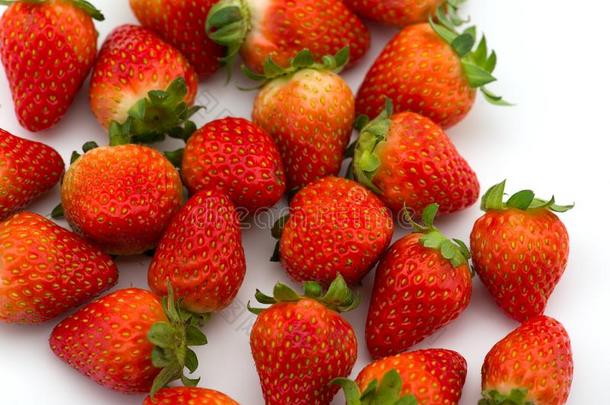 新近精选的草莓隔离的向白色的背景