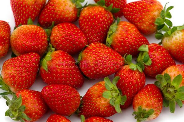 新近精选的草莓隔离的向白色的背景