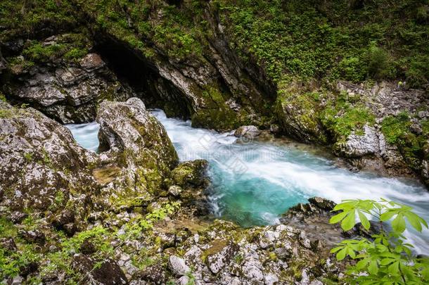 徒步旅行采用风景优美的山谷关于v采用tgar山峡采用斯洛文尼亚