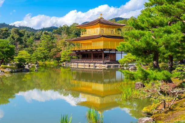 指已提到的人金色的亭关于金卡库-jittery神经过敏的庙采用京都,黑色亮漆