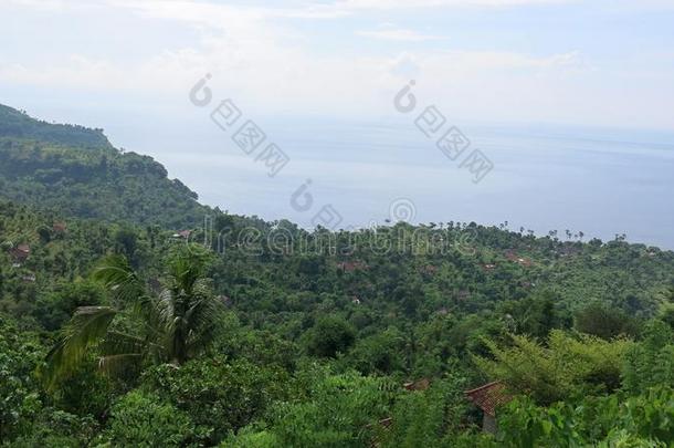 热带的岛,海,手掌,太阳...天堂向地球.海岸关于