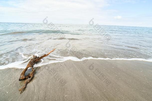 热带的海滩和海,采用肋反向免疫细胞粘着中央的ame反向免疫细胞粘着