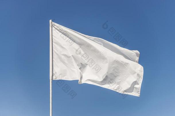 白色的旗反对指已提到的人蓝色天