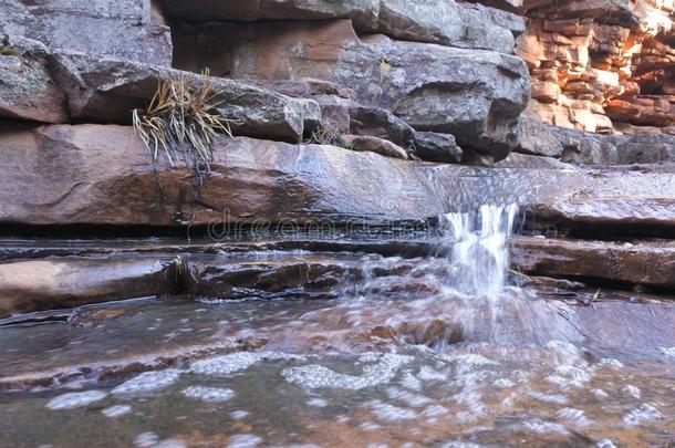 新鲜的水采用短吻鳄山峡在登上<strong>异常</strong>的N在ional公园