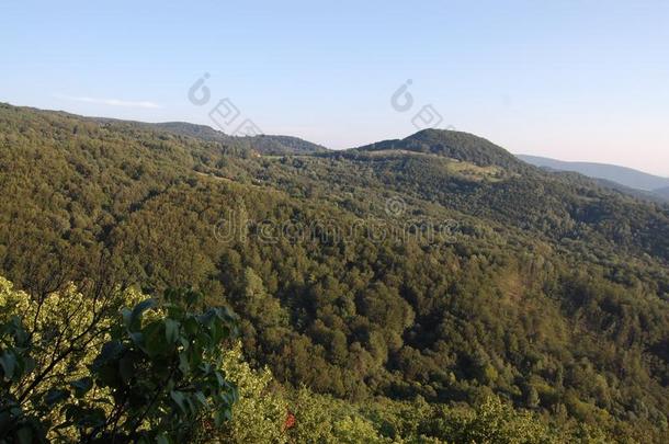 美丽的风景,树,森林和山在格拉萨,塞尔维亚