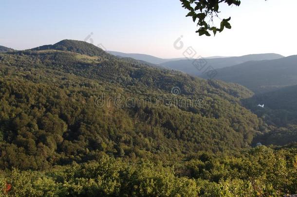 美丽的风景,树,森林和山在格拉萨,塞尔维亚