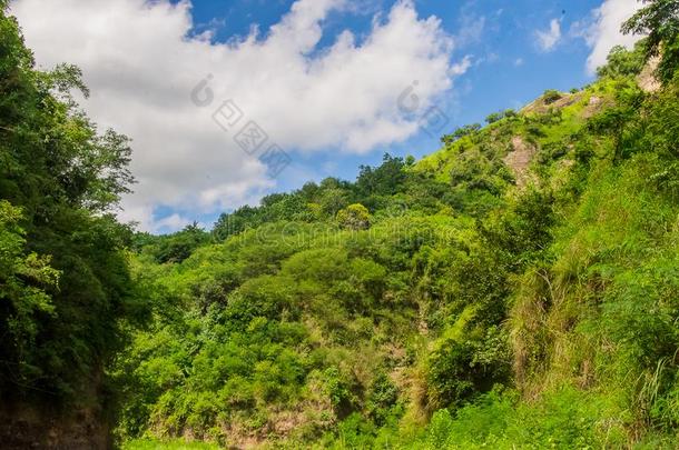 晚餐注意。山风景从指已提到的人辫子河