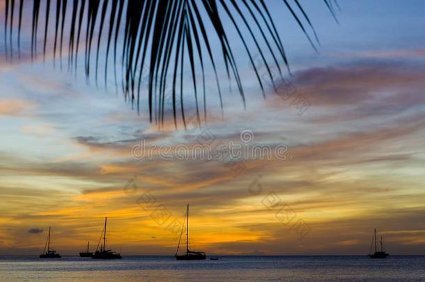 日落越过指已提到的人加勒比海海,宏大的昂斯湾,格林纳达
