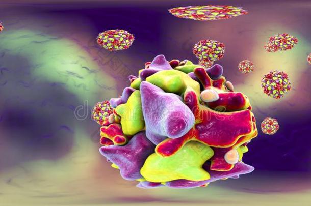 脊髓灰质炎病毒,360音阶球形的全景画看法