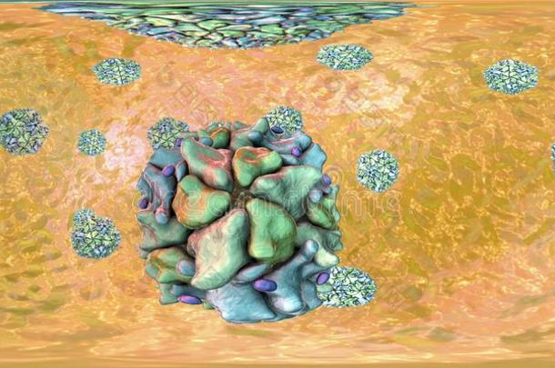 脊髓灰质炎病毒,360音阶球形的全景画看法