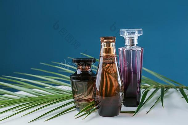 瓶子关于香水和热带的叶子向白色的表