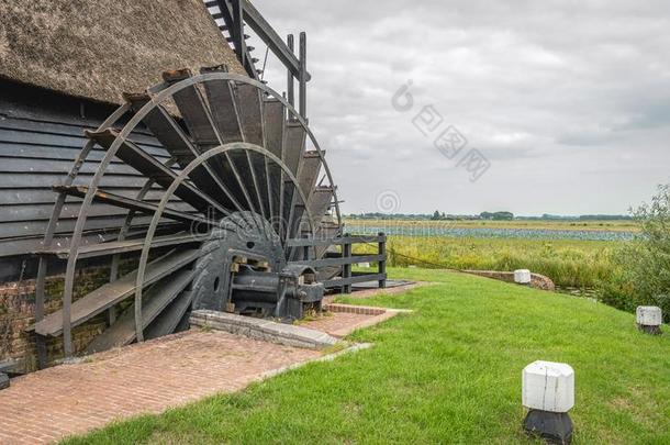 关-在上面关于指已提到的人桨轮关于一在历史上重要的荷兰人的开拓地风车