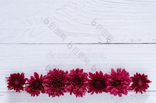 新鲜的红色的花越过白色的木制的表背景.背景幕布wickets三柱门