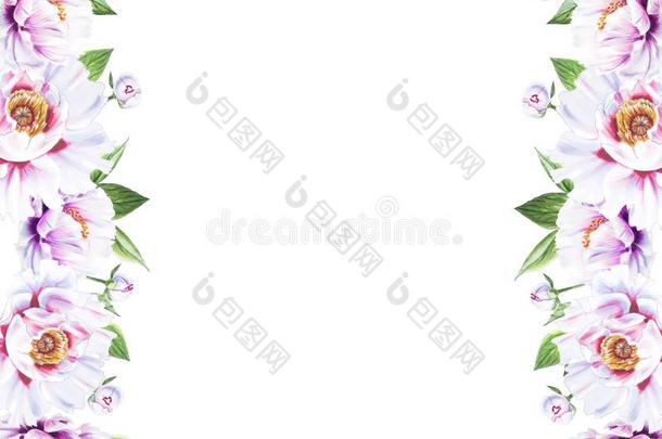 美丽的白色的牡丹边框架.花束关于花.花的英语字母表的第16个字母