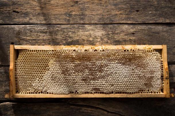 蜂窝和木制的蜂蜜浸渍者.生的蜂蜜.自然的蜂蜜,克洛