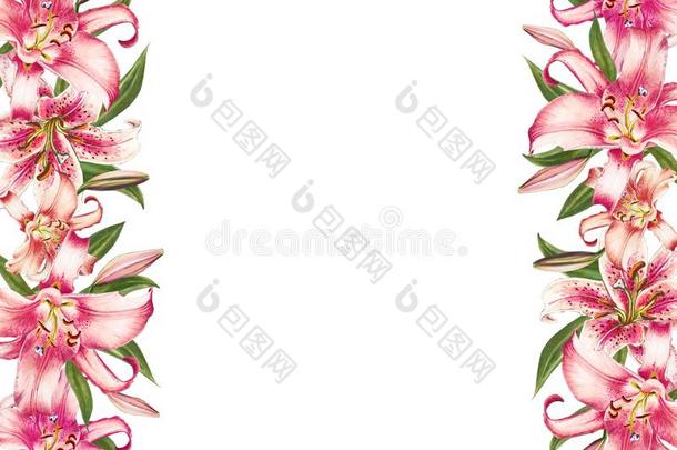 美丽的白色的粉红色的百合花边框架.花束关于花.浮在葡萄酒表面的一种白色酵母