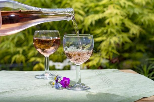 侍者传布寒冷的玫瑰葡萄酒采用眼镜采用夏和煦的：照到阳光的一天采用