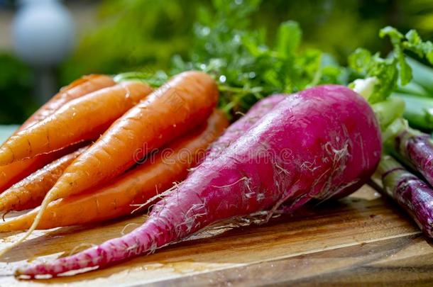 束关于新鲜的红色的长的小萝卜,胡萝卜和紫色的洋葱,新的