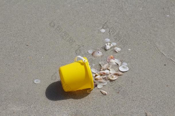 黄色的婴儿水桶和壳.在指已提到的人水桶sea壳