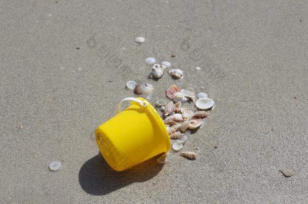 黄色的婴儿<strong>水桶</strong>和壳.在指已提到的人<strong>水桶</strong>sea壳