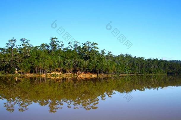 自然关于风景,绿色的松树森林地区和安静的湖英语字母表的第18个字母